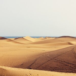 dunes, nature, wilderness, travel, gran canaria, sand, canary islands, excursion, maspalomas, desert, sand dunes