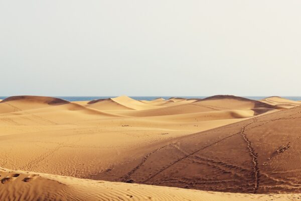 dunes, nature, wilderness, travel, gran canaria, sand, canary islands, excursion, maspalomas, desert, sand dunes